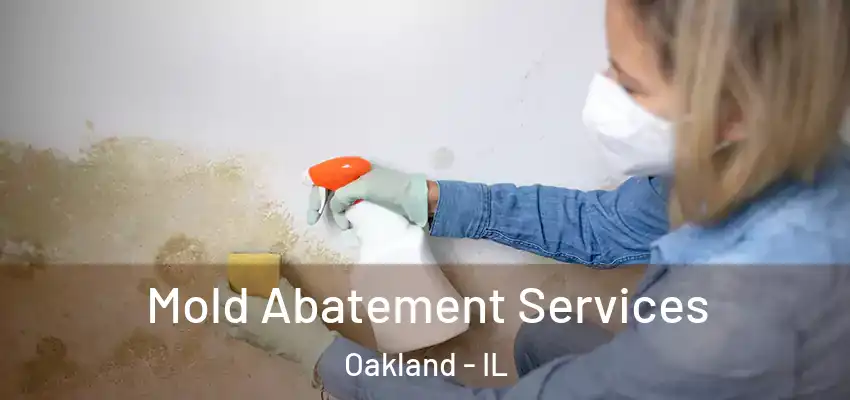  Mold Abatement Services Oakland - IL