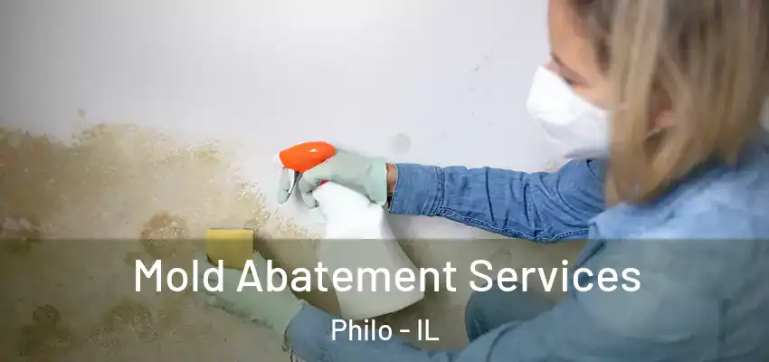  Mold Abatement Services Philo - IL