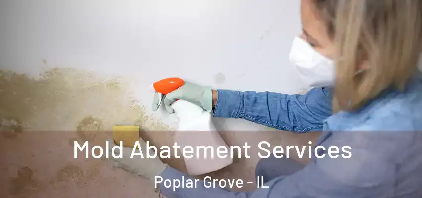  Mold Abatement Services Poplar Grove - IL