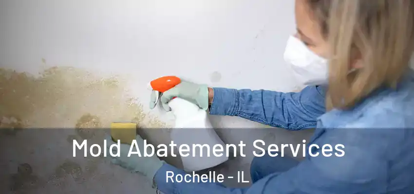 Mold Abatement Services Rochelle - IL