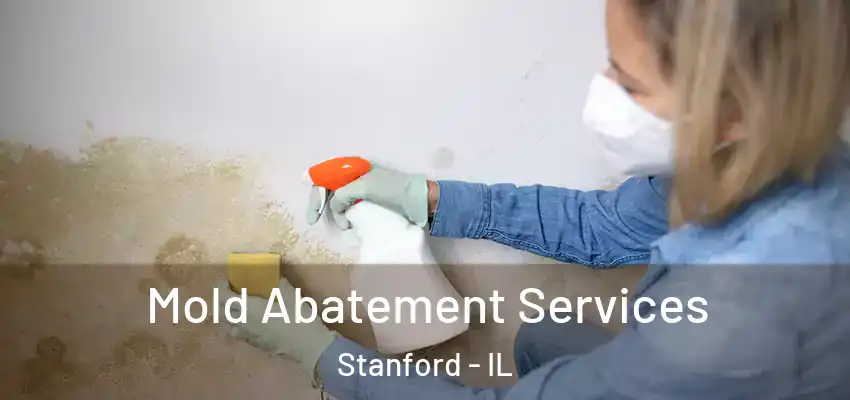  Mold Abatement Services Stanford - IL