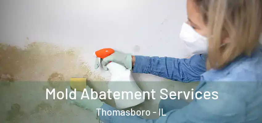  Mold Abatement Services Thomasboro - IL