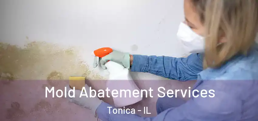  Mold Abatement Services Tonica - IL