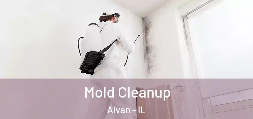  Mold Cleanup Alvan - IL