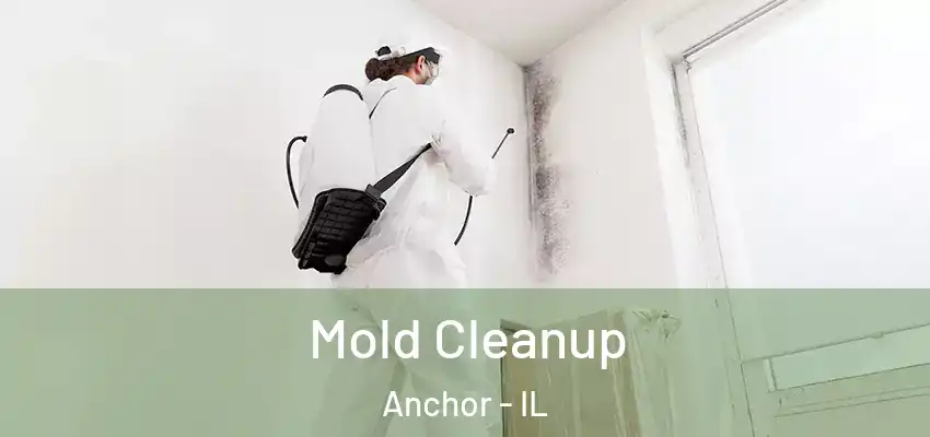  Mold Cleanup Anchor - IL