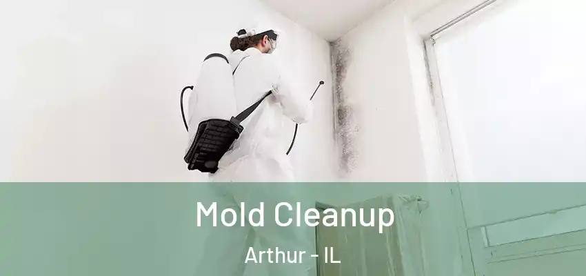  Mold Cleanup Arthur - IL
