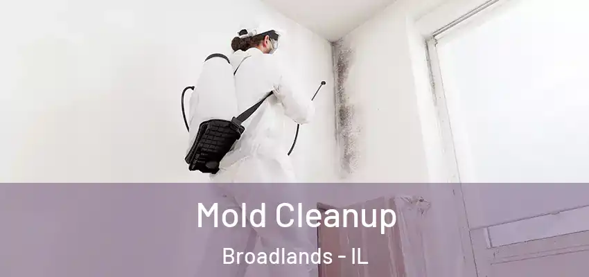  Mold Cleanup Broadlands - IL