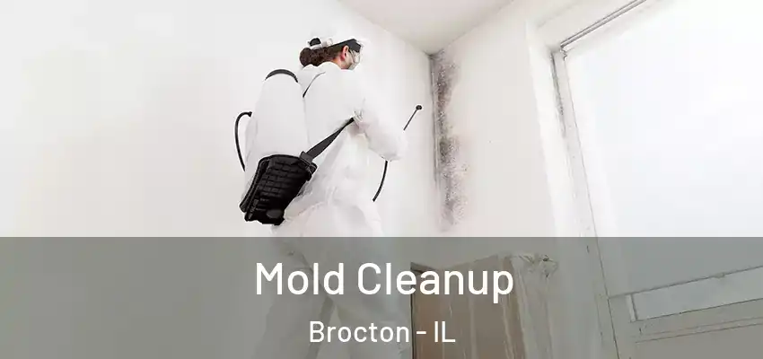  Mold Cleanup Brocton - IL