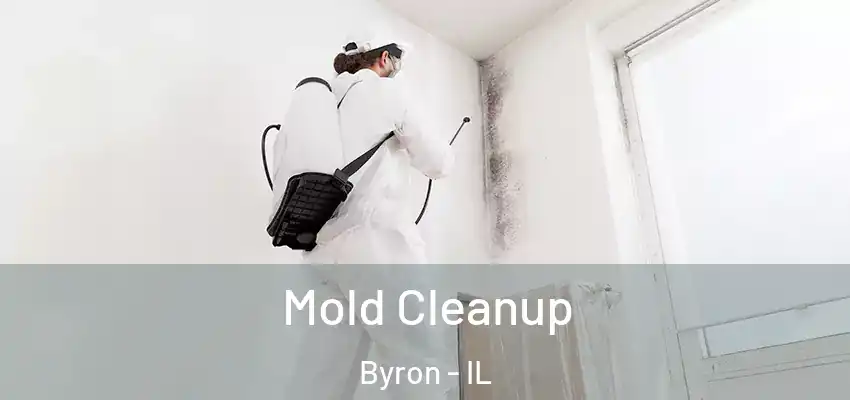  Mold Cleanup Byron - IL