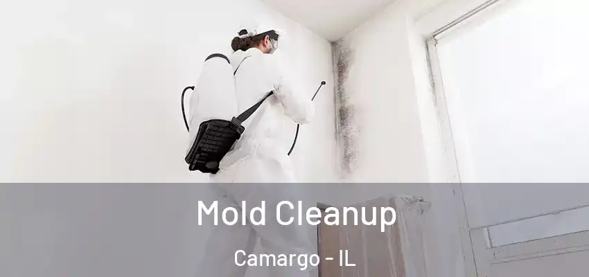 Mold Cleanup Camargo - IL