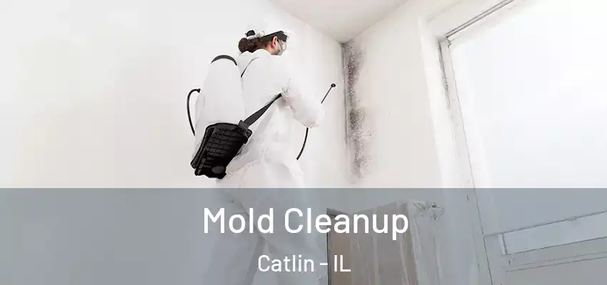  Mold Cleanup Catlin - IL