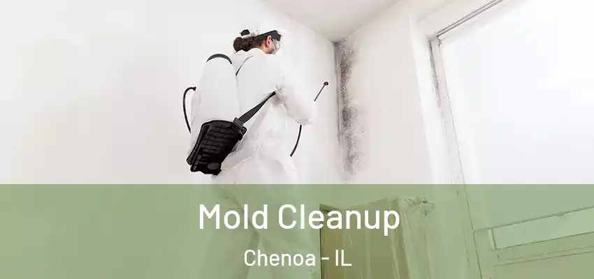  Mold Cleanup Chenoa - IL