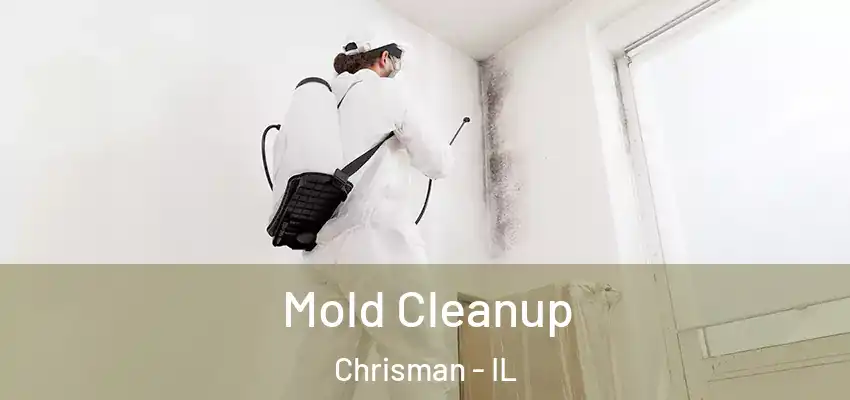 Mold Cleanup Chrisman - IL