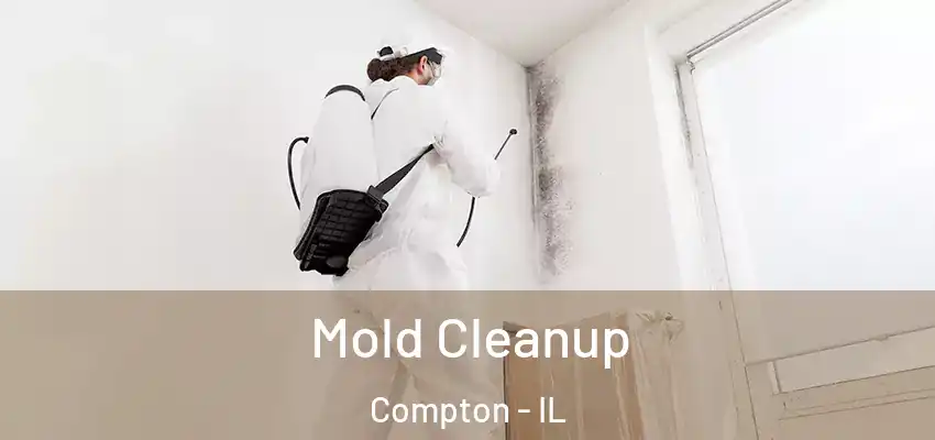  Mold Cleanup Compton - IL
