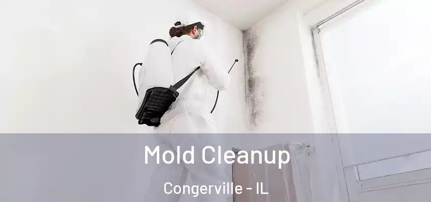  Mold Cleanup Congerville - IL