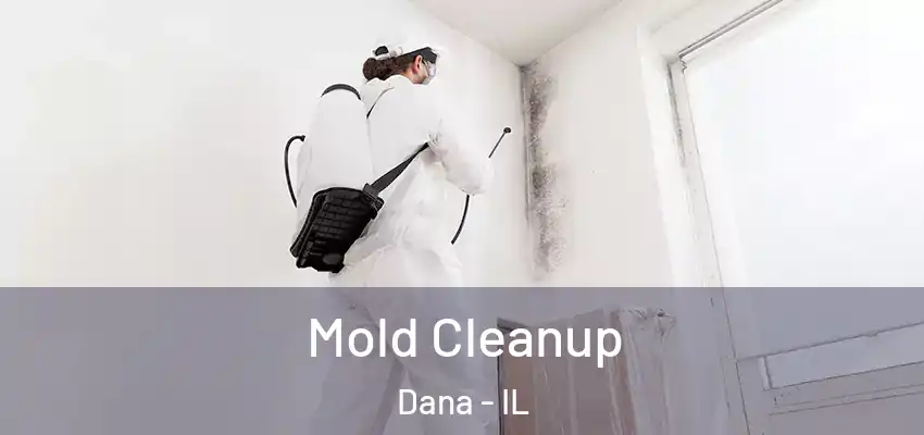  Mold Cleanup Dana - IL