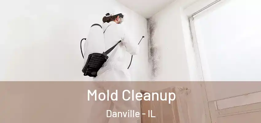 Mold Cleanup Danville - IL