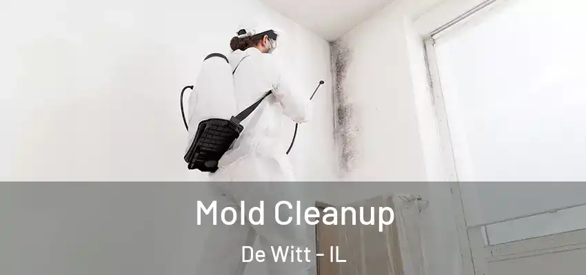 Mold Cleanup De Witt - IL