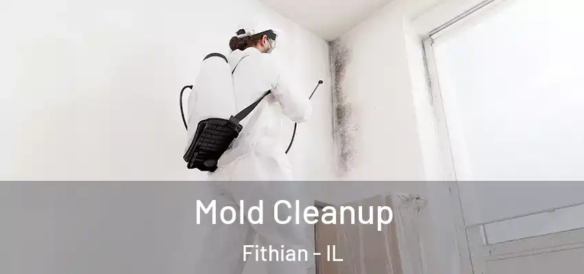  Mold Cleanup Fithian - IL