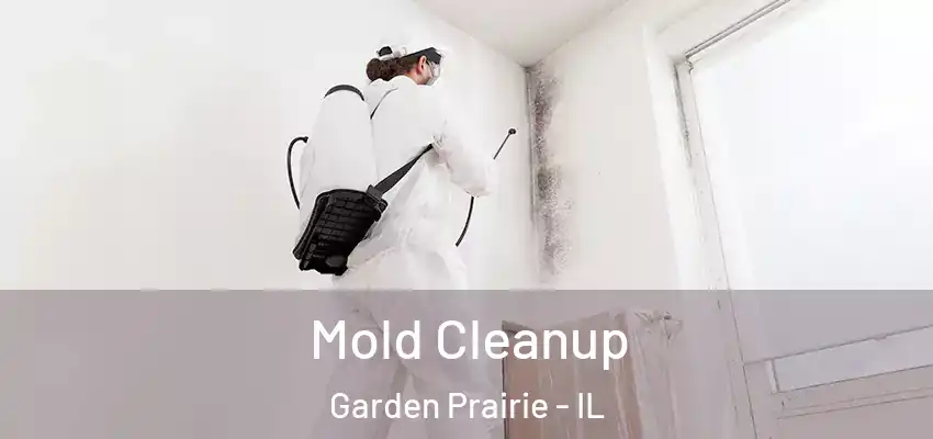  Mold Cleanup Garden Prairie - IL