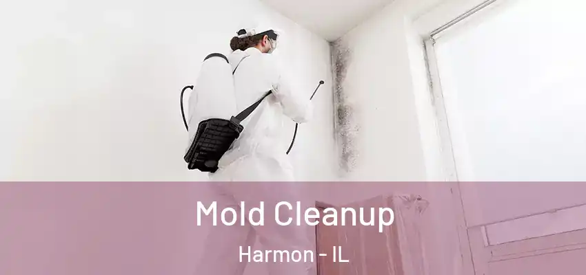  Mold Cleanup Harmon - IL