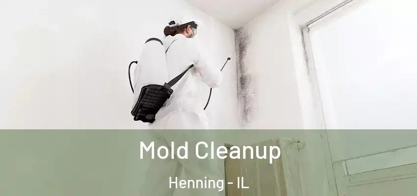  Mold Cleanup Henning - IL