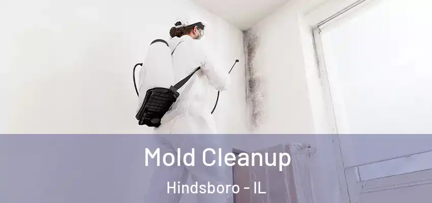  Mold Cleanup Hindsboro - IL