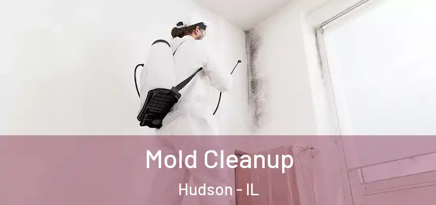  Mold Cleanup Hudson - IL