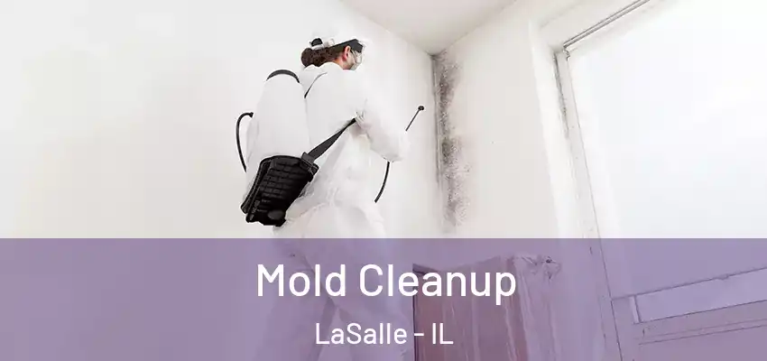  Mold Cleanup LaSalle - IL