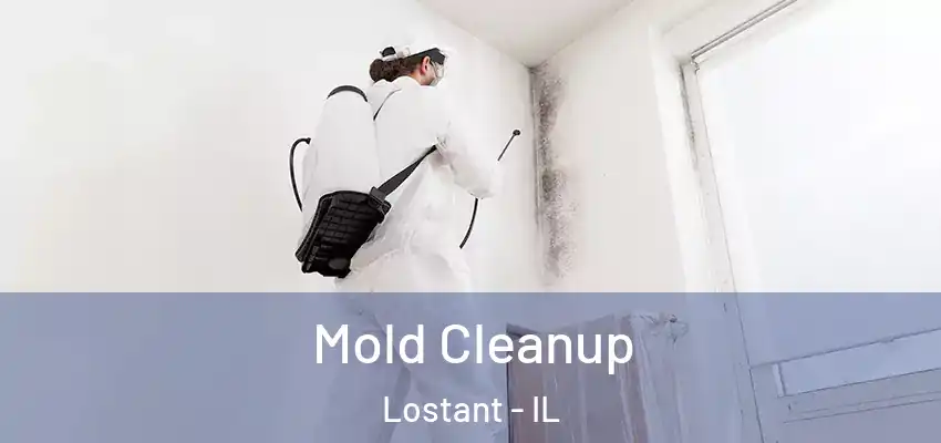  Mold Cleanup Lostant - IL