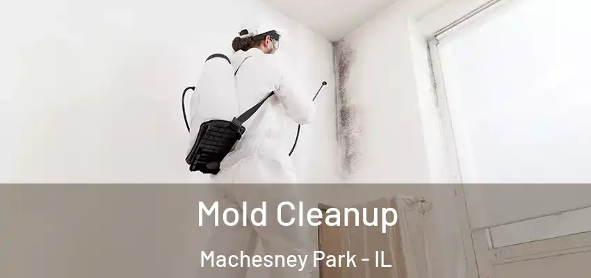 Mold Cleanup Machesney Park - IL