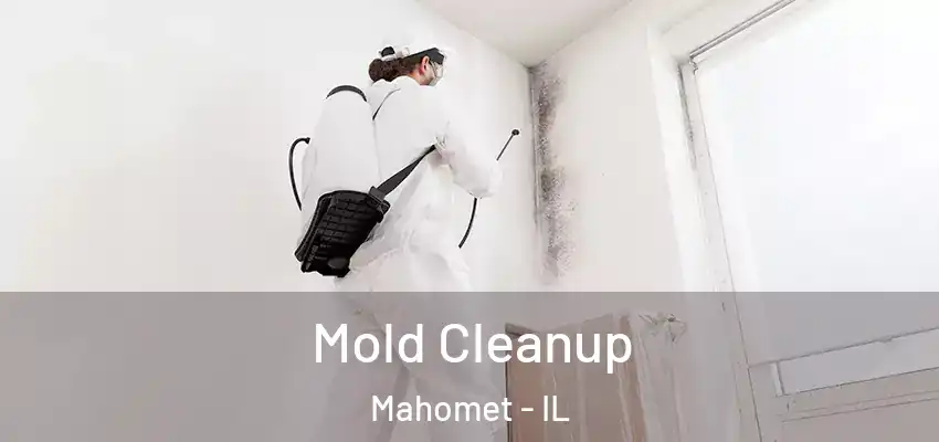  Mold Cleanup Mahomet - IL