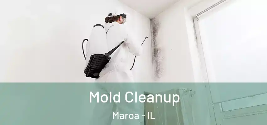  Mold Cleanup Maroa - IL