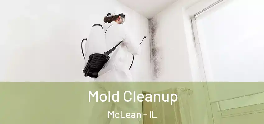  Mold Cleanup McLean - IL