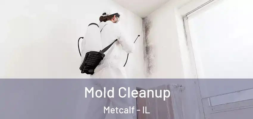 Mold Cleanup Metcalf - IL