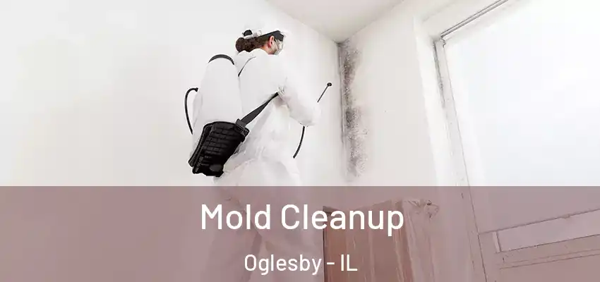 Mold Cleanup Oglesby - IL