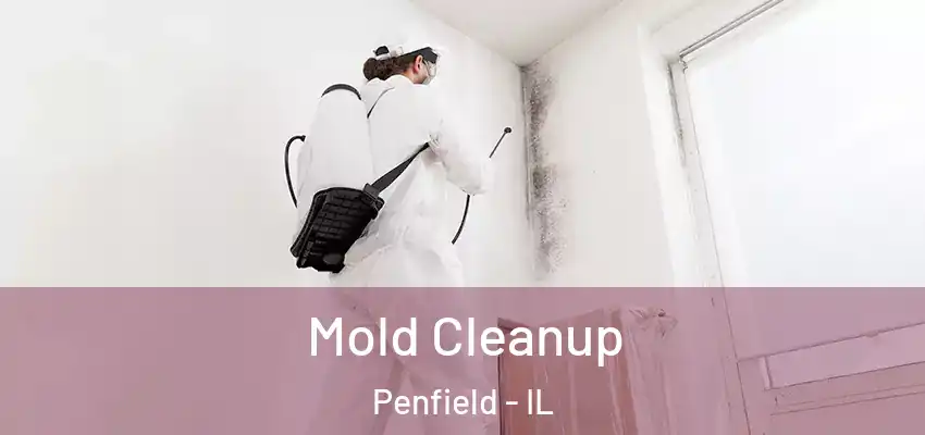  Mold Cleanup Penfield - IL