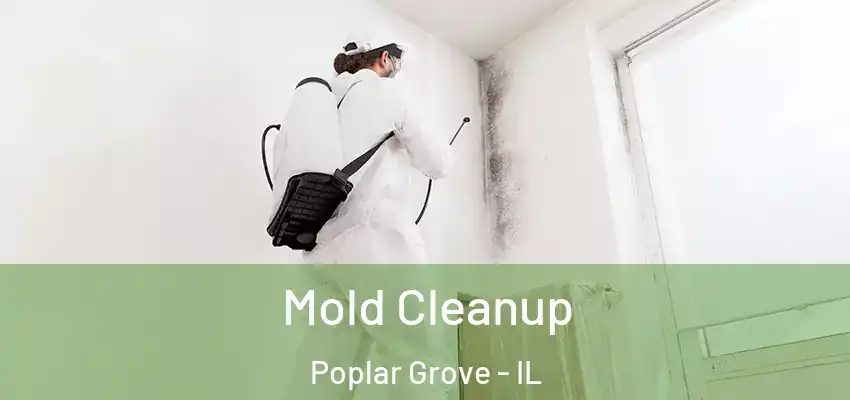  Mold Cleanup Poplar Grove - IL