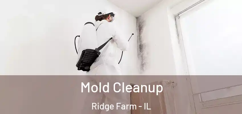  Mold Cleanup Ridge Farm - IL