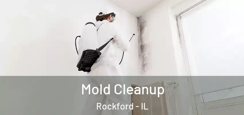  Mold Cleanup Rockford - IL