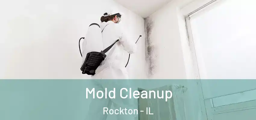 Mold Cleanup Rockton - IL