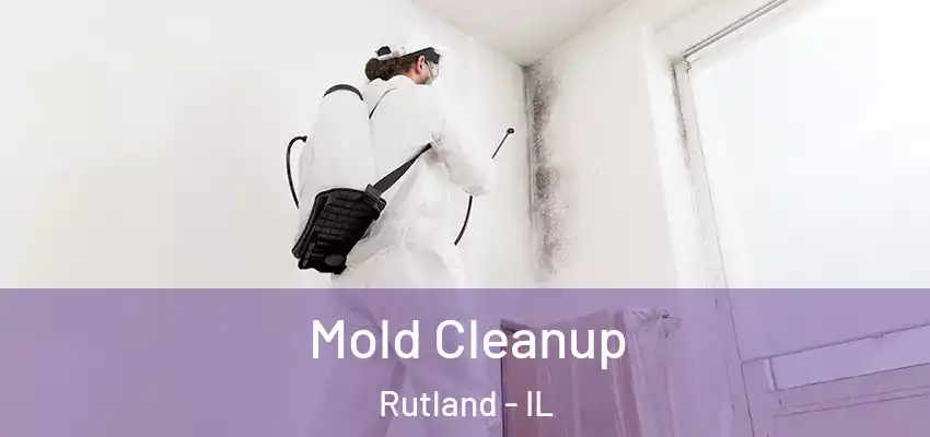  Mold Cleanup Rutland - IL