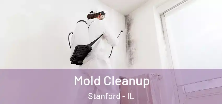  Mold Cleanup Stanford - IL