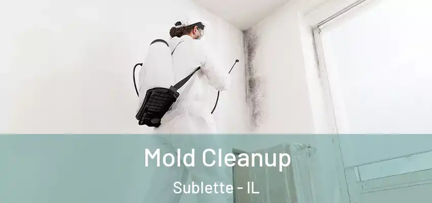  Mold Cleanup Sublette - IL