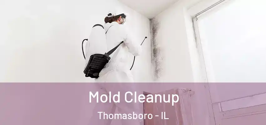 Mold Cleanup Thomasboro - IL