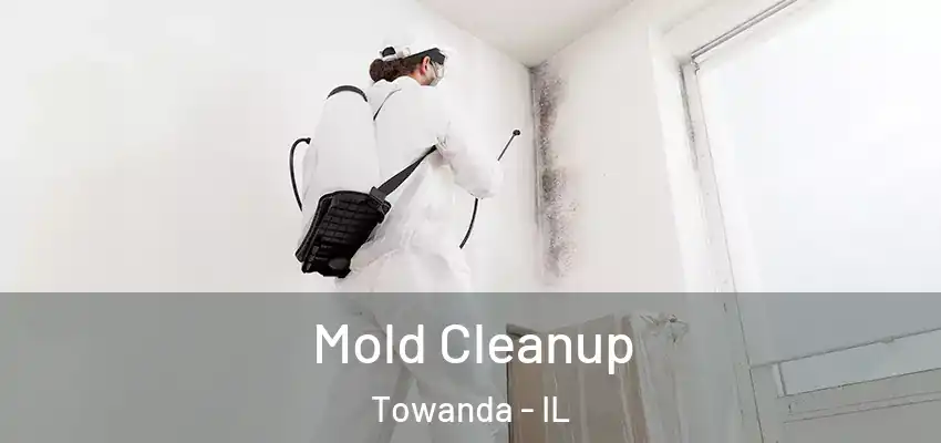  Mold Cleanup Towanda - IL