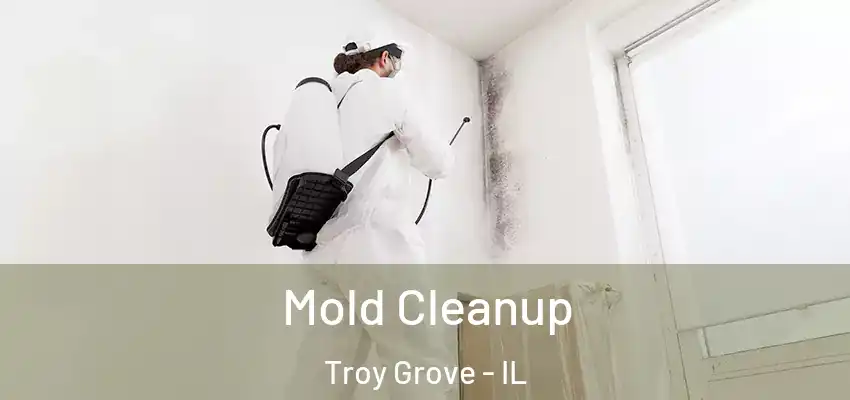  Mold Cleanup Troy Grove - IL