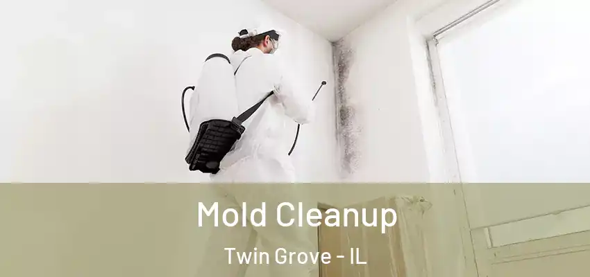  Mold Cleanup Twin Grove - IL