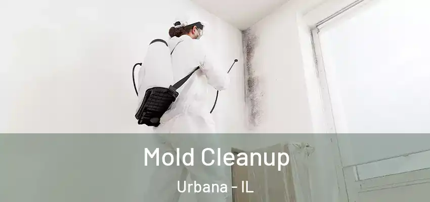  Mold Cleanup Urbana - IL