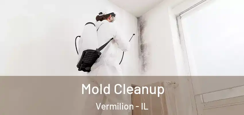  Mold Cleanup Vermilion - IL
